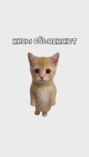 КИСЫ ОБЪЯСНЯЮТ / Что Если Остановить Сердце На 10 Минут? / Киса Пробует Самую Острую Еду В Мире