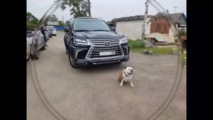 Рестайлинг Лексус в 2019+ LX 570 Black