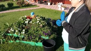 Раннее воскресное утро, а я уже в своём огородике! 😊Много планов.