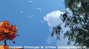 СНОВА ПТИЦЫ в СТАИ СОБИРАЮТСЯ ( из архива )