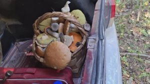 Отдых с пользой