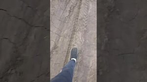 трансляция