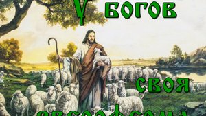 У богов своя звероферма