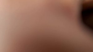 Dl audio Gryphon lite 1.500