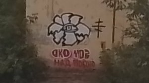 40. 💚 ".... ОКО ...."