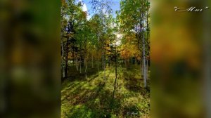 "ФОТОВЗГЛЯД" Миг... Автор проекта О. Дзиов, фото автора.