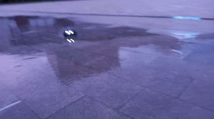 С макс рэмо хобби 1635 20210510_200820