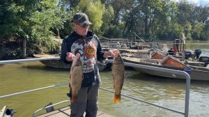 Ай да сазан!