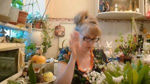 1000010865.mp4.   🖋️🚀Я ОЧЕНЬ БЛАГОДАРНА🙏♥️ ПРИЗНАТЕЛЬНА ♥️🙏💐💃🔥МОИ БУДНИ 🖋️🚀