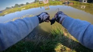 Школьный автобус и большеротый окунь.