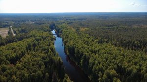 р.Пинега, мост п.Белореченский.