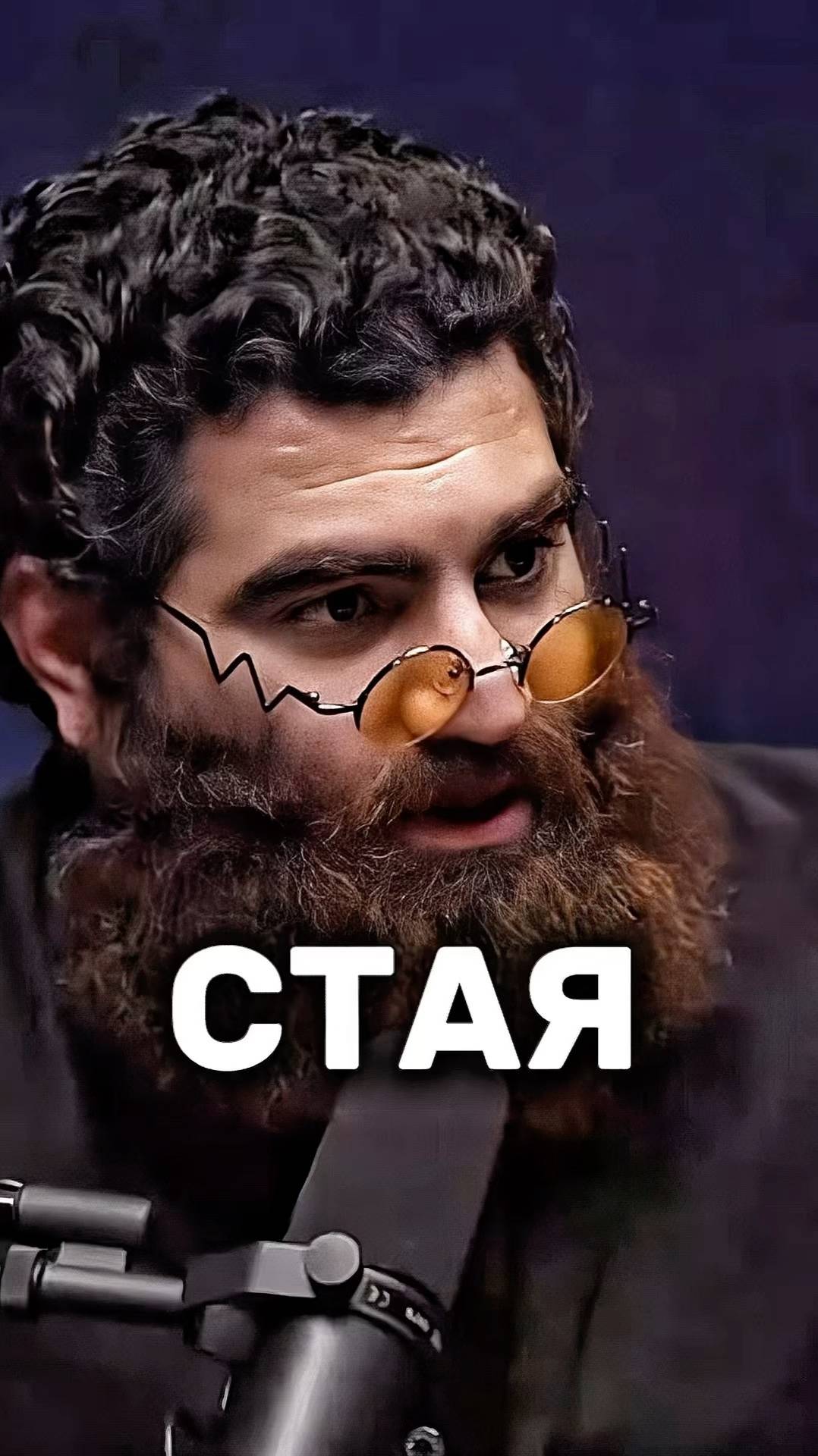 Надо сбиваться в СТАЮ! Арсен Маркарян #арсенмаркарян#база#стая#группа#мотивация#саморазвитие смотреть онлайн