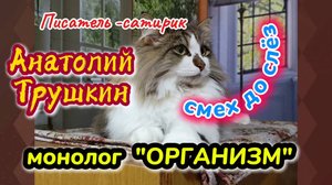 АНАТОЛИЙ ТРУШКИН лучшее.