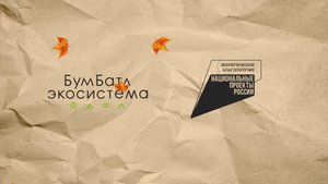 Кузбасс присоединится к всероссийской акции по сбору макулатуры «БумБатл»