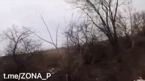 ЕГОР ЛЕТОВ
Храброе словечко чиркнуло об лёд,
Вспыхнуло сердечко,взвился пулемёт!
Хлынули дороги,дрог