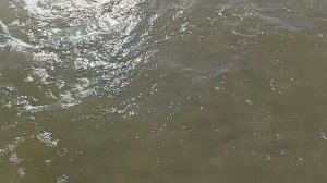 ах это красота черного моря и анапы