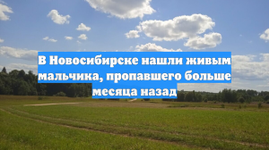 В Новосибирске нашли живым мальчика, пропавшего больше месяца назад