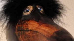 гуляю на улице со Львом