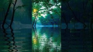 Сонное царство (1)