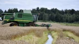 В Латвии аграрный сезон обернулся настоящим кризисом для фермеров