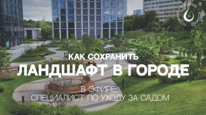 ЛАНДШАФТ В ГОРОДЕ | ПРИМЕРЫ поддержания озеленения в условиях жилого комплекса в Москве