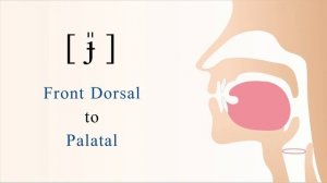 [ɟ̎]:  Секреты сложного, но невероятно крутого звука!