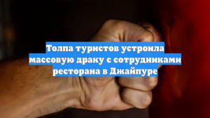 Толпа туристов устроила массовую драку с сотрудниками ресторана в Джайпуре