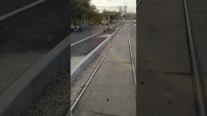 Поездки в общественном транспорте | 8-сен-2025, 2