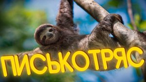 ПРИКОЛЫ ОТ ЧЕЛОЗАВРА 2025 / ПИСЬКОТРЯС / СМЕШНЫЕ ВИДЕО / МЕМЫ