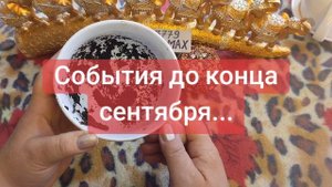 💖🌹💓💞89028257779🥰💕💗💝