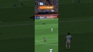 SVID_20250908_123937_1.mp4