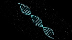 Снятие ограничений Прошлого, Кармических программ. «Ом Кем Кетаве Намаха» — мантра Кету.