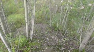 Бродилки от Бродислава  277