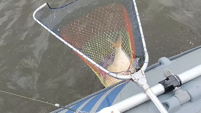 1000217452.mp4 смотреть онлайн