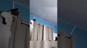 Попробуй не засмеятся!! Нарезки с ТикТок #мемы #юмор