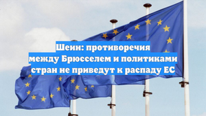 Шеин: противоречия между Брюсселем и политиками стран не приведут к распаду ЕС