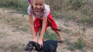 Стич хулиганит