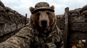 1 влог медведя