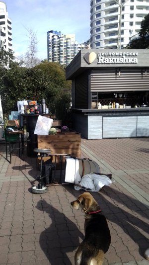 $$$$$$$$ ВЫЖИВАЛИТИ НАСЛЕДНИКИ $$$$$$$$$