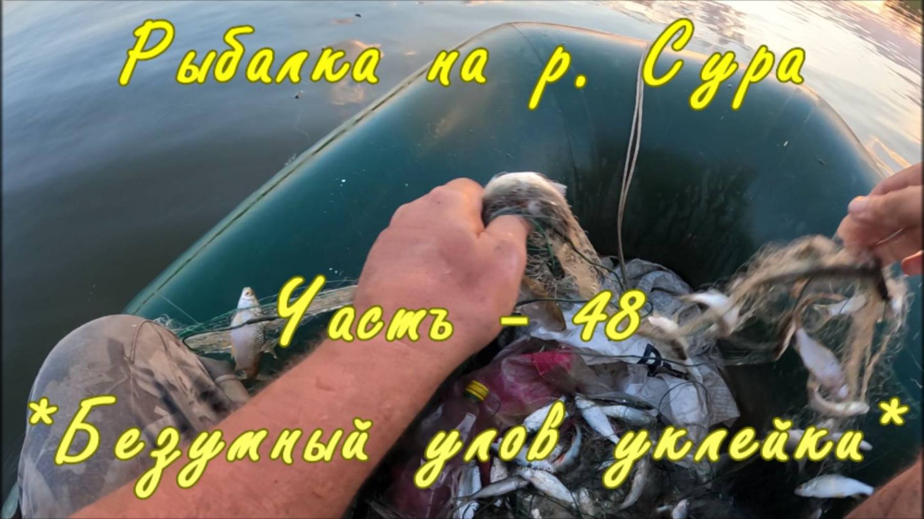 Рыбалка на р. Сура. Часть - 48. "Безумный улов уклейки".