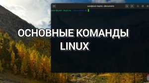 ОСНОВНЫЕ КОМАНДЫ В LINUX