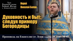 Духовность и быт: следуя примеру Богородицы / Иерей Николай Балан / 28.08.25