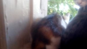 Мои Неуловимые Мстители отдыхают