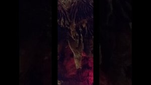 Органный зал на глубине 110метров. Португалия.