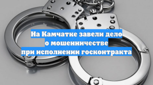 На Камчатке завели дело о мошенничестве при исполнении госконтракта