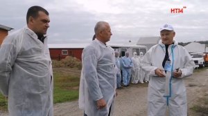 Краснослободский район отработал ситуацию ликвидации африканской чумы свиней
