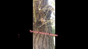 Вчерашняя прогулка с классом