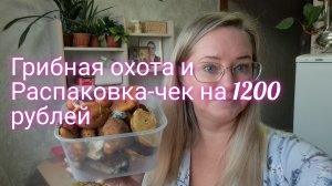 Распаковка-чек на 1200 рублей и грибная охота