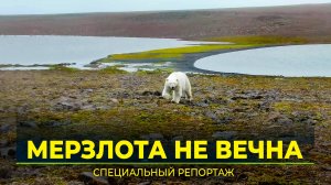 Глобальное потепление отражается на арктических территориях