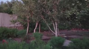 30е августа. Вечер...Завтра праздник.